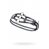 Черный кожаный пояс с кольцами - Pecado - купить с доставкой в Серпухове