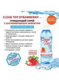 Очищающий спрей для игрушек CLEAR TOY Strawberry - 100 мл. - Биоритм - купить с доставкой в Серпухове