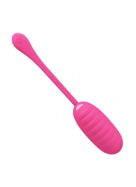 Розовое перезаряжаемое виброяйцо Kirk - Baile