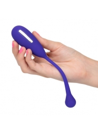 Фиолетовый шарик с электростимуляцией и вибрацией Intimate E-Stimulator Remote Kegel Exerciser - California Exotic Novelties - купить с доставкой в Серпухове