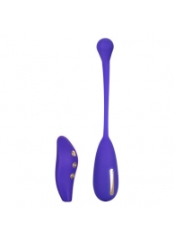 Фиолетовый шарик с электростимуляцией и вибрацией Intimate E-Stimulator Remote Kegel Exerciser - California Exotic Novelties - купить с доставкой в Серпухове