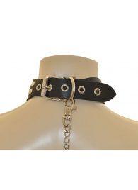 Ошейник  Веселый Роджер - Sitabella - купить с доставкой в Серпухове