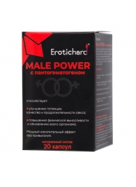 Капсулы для мужчин Erotichard male power с пантогематогеном - 20 капсул (0,370 гр.) - Erotic Hard - купить с доставкой в Серпухове