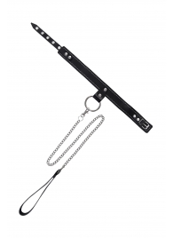 Черный узкий однослойный ошейник с серебристым поводком-цепочкой - Pecado - купить с доставкой в Серпухове