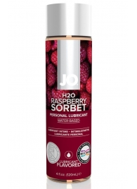 Лубрикант на водной основе с ароматом малины JO Flavored Raspberry Sorbet - 120 мл. - System JO - купить с доставкой в Серпухове