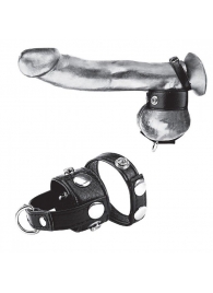 Утяжка для мошонки и пениса Cock Ring With 1  Ball Stretcher And Optional Weight Ring - BlueLine - купить с доставкой в Серпухове