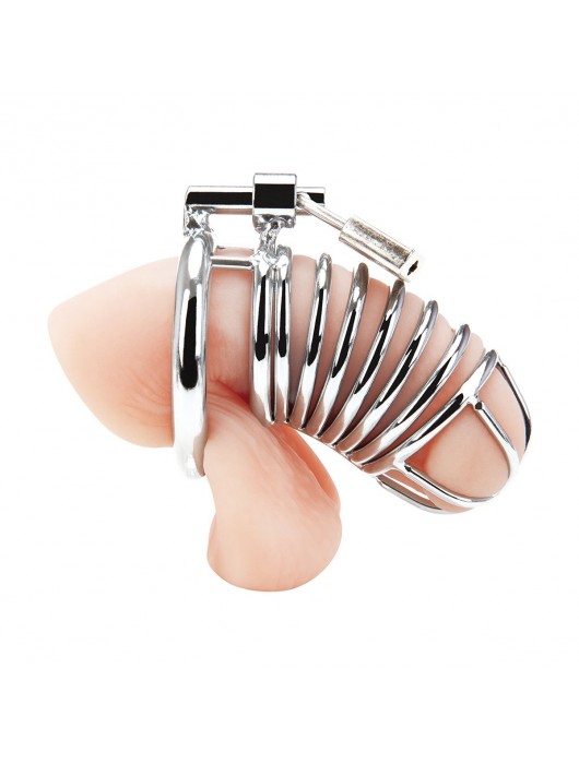 Металлическая клетка Deluxe Сhastity Сage с замком - BlueLine - купить с доставкой в Серпухове