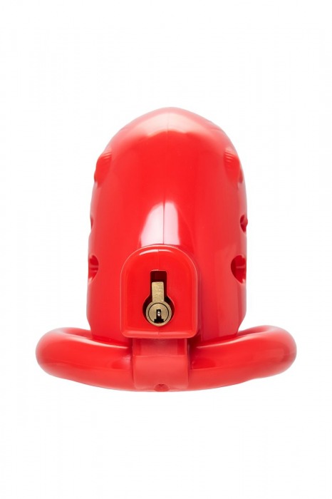 Красный мужской пояс верности из пластика - ToyFa - купить с доставкой в Серпухове