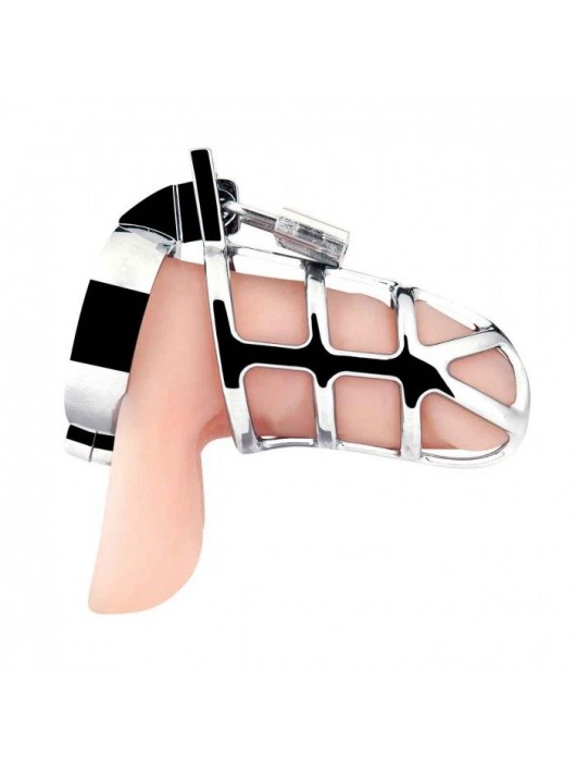 Серебристая металлическая клетка для члена с замком Enslave Cock Cage - BlueLine - купить с доставкой в Серпухове