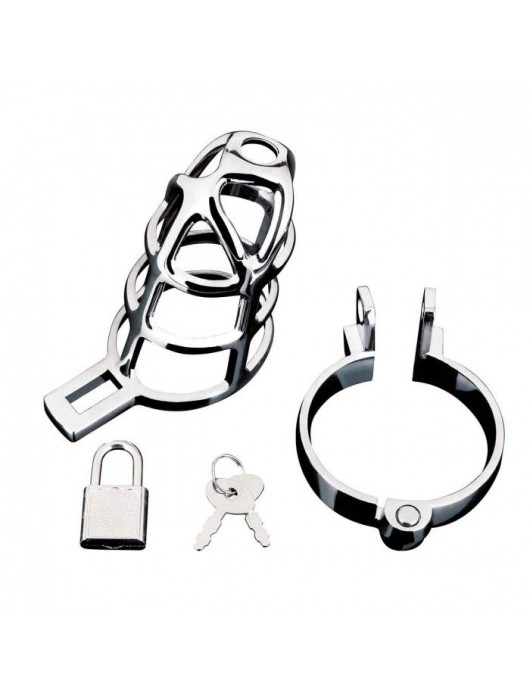 Серебристая металлическая клетка для члена с замком Enslave Cock Cage - BlueLine - купить с доставкой в Серпухове