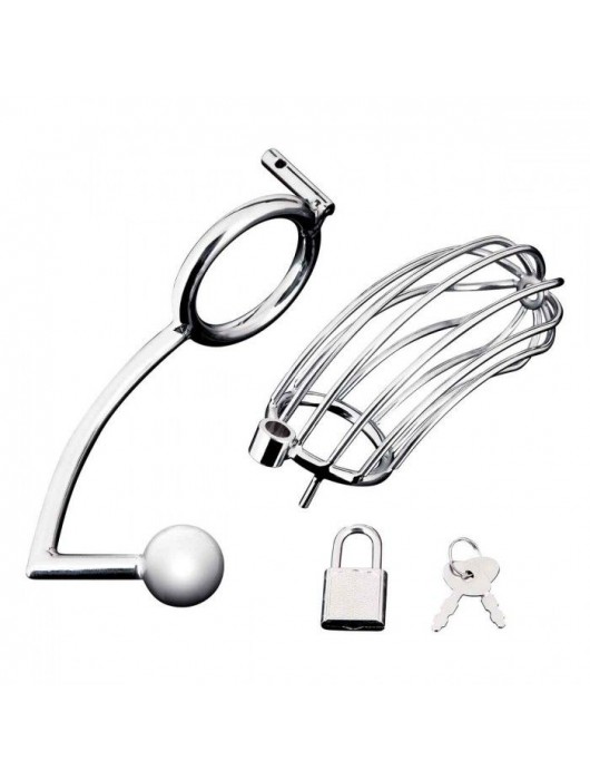 Серебристая металлическая клетка с анальным стимулятором Cock Cage - BlueLine - купить с доставкой в Серпухове