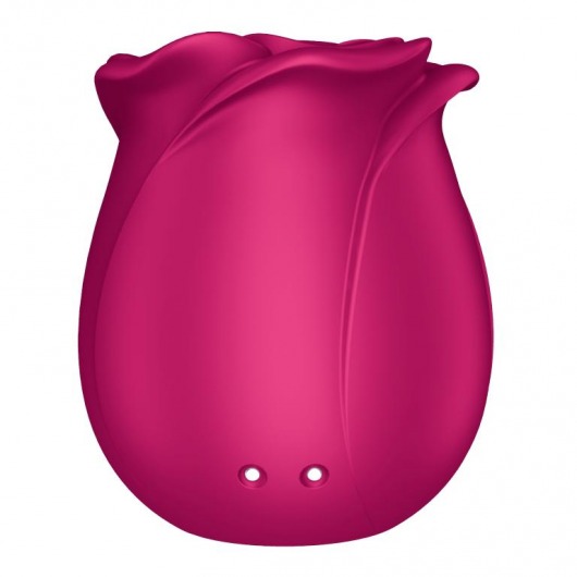 Малиновый вакуум-волновой стимулятор Pro 2 Classic Blossom - Satisfyer