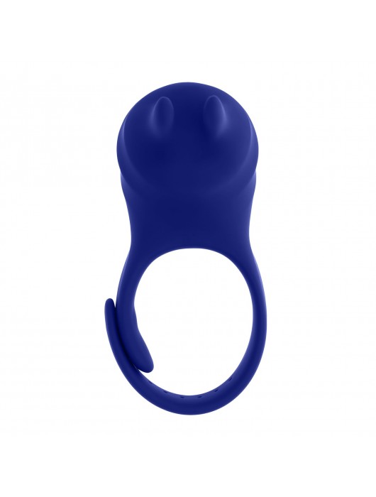 Синее эрекционное виброкольцо с клиторальной подушечкой и пультом ДУ Adjustable Fun Ring - Zero Tolerance - в Серпухове купить с доставкой