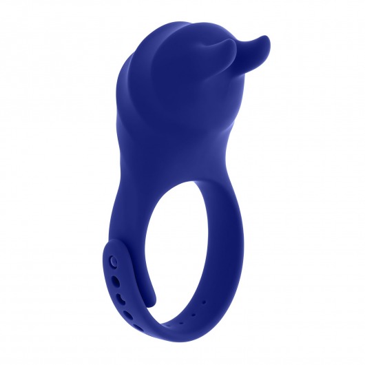 Синее эрекционное виброкольцо с клиторальной подушечкой и пультом ДУ Adjustable Fun Ring - Zero Tolerance - в Серпухове купить с доставкой