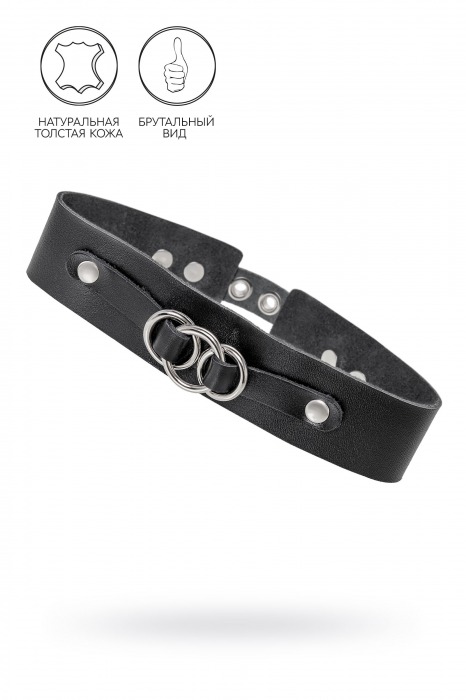 Черный чокер-ошейник со связанными кольцами на подложке - Pecado - купить с доставкой в Серпухове