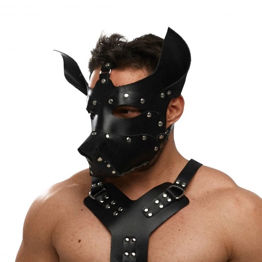 Черная кожаная маска «Собака» - Crazy Handmade - купить с доставкой в Серпухове