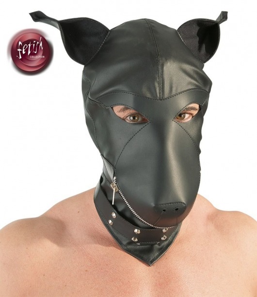 Шлем-маска Dog Mask в виде морды собаки - Orion - купить с доставкой в Серпухове